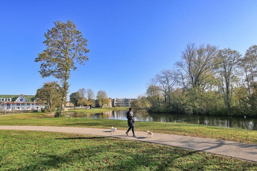 Afbeelding: foto van park met bezoeker en hond, mooi weer, blauwe lucht