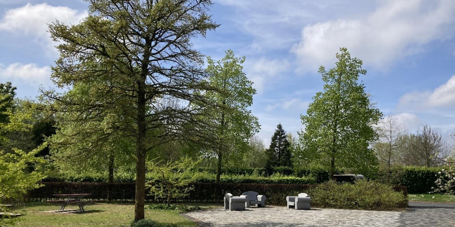 Bomenwandeling op De Meerterpen