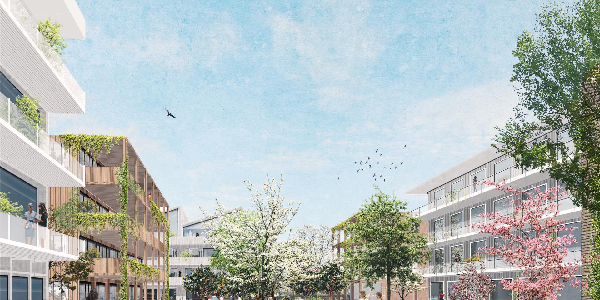 Selectie van bedrijven voor De Erven loopt