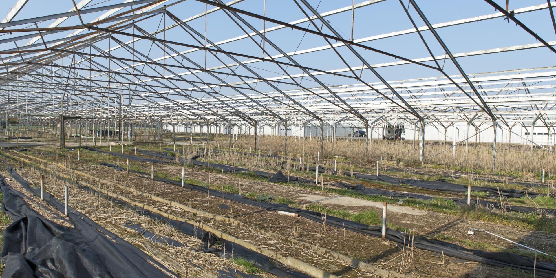 Gemeenteraad zet licht op groen voor toekomstbestendig Rijsenhout