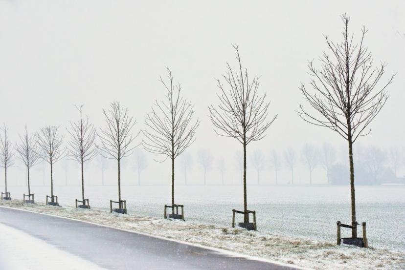 Afbeelding, foto: winter in Park21