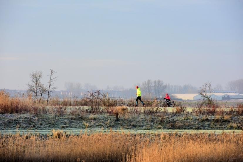 Afbeelding, foto: Park21 in de winter