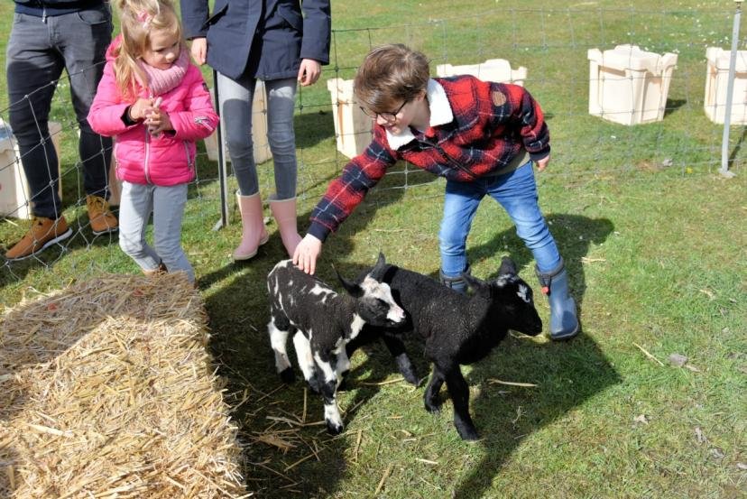 Afbeelding, foto: Park21 Boerenpaasfeest