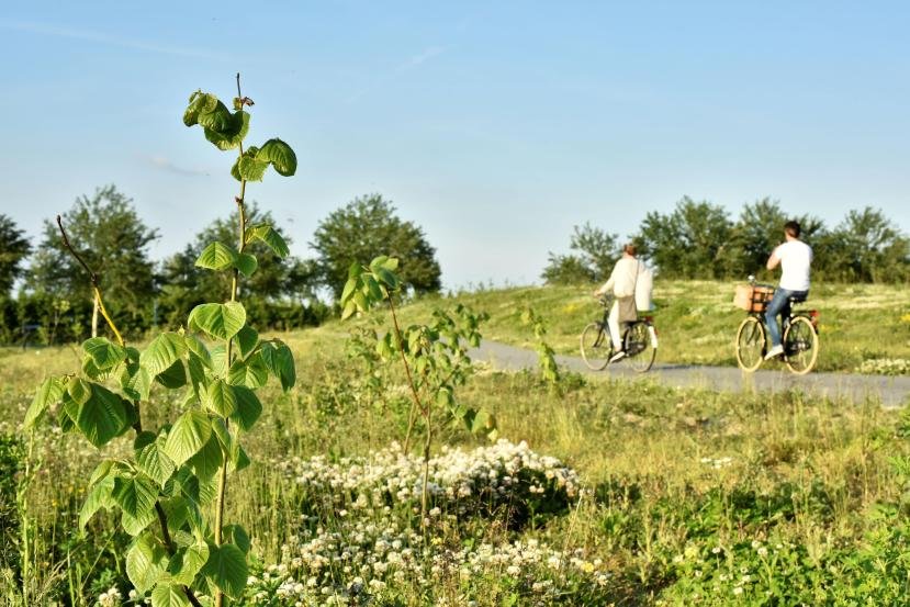 Afbeelding: foto van twee fietsers in de natuur op zonnige dag met blauwe lucht