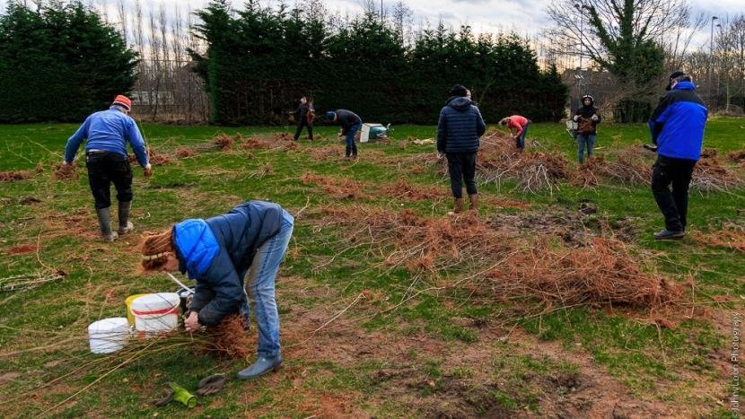 8000 geredde boompjes sorteren en bundelen