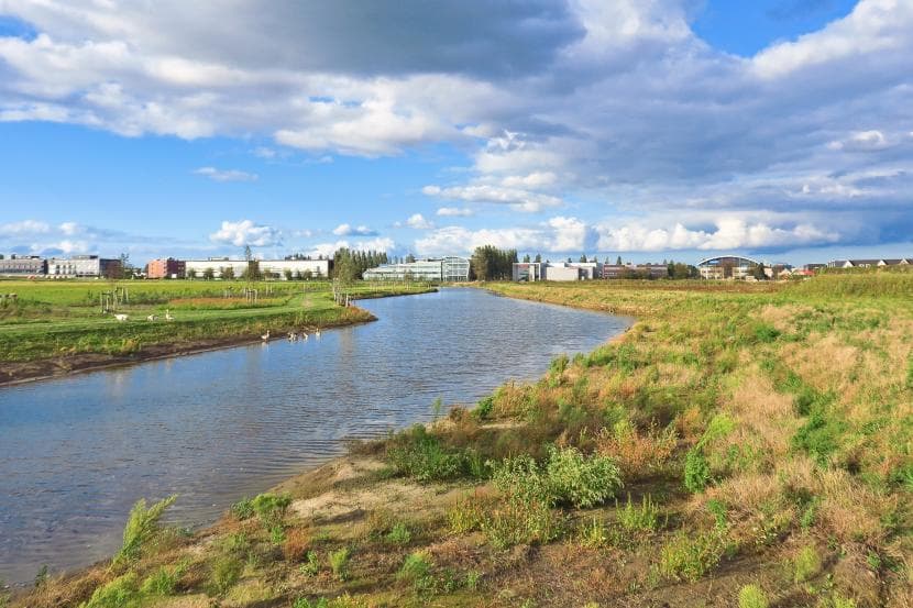 Afbeelding: foto van de Groene Singel tussen Lijndenhof en bij Quatrebras