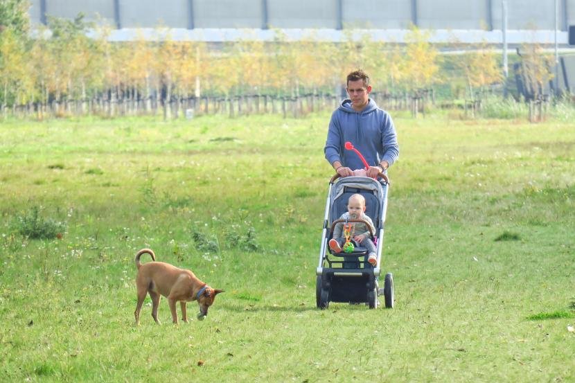 Afbeelding: foto van het losloopgebied tussen de Plesmanlaan en A4/A9. Foto: Henk Roolvink.