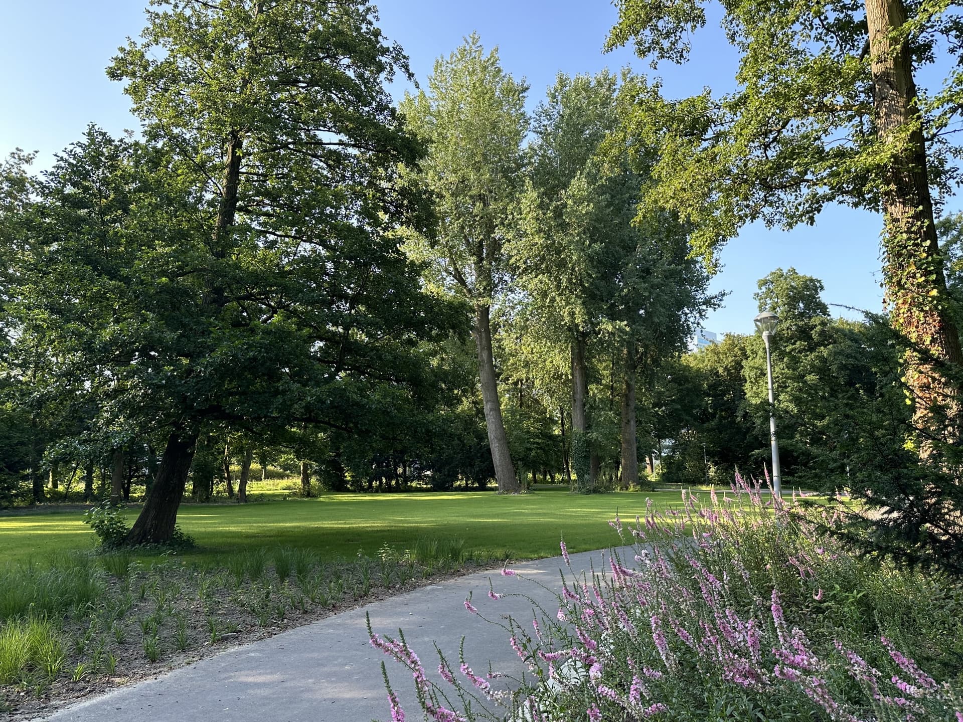 Park in Hoofddorp.