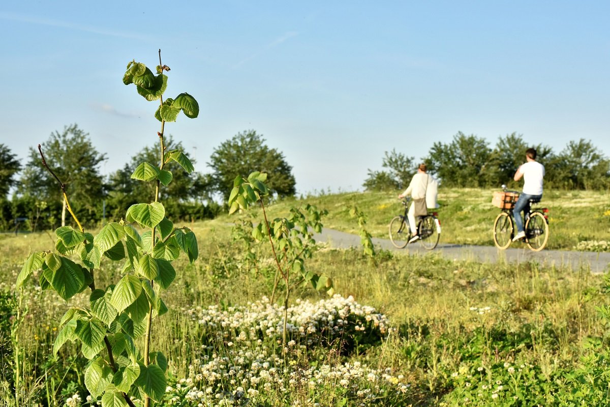 fietsers in PARK21