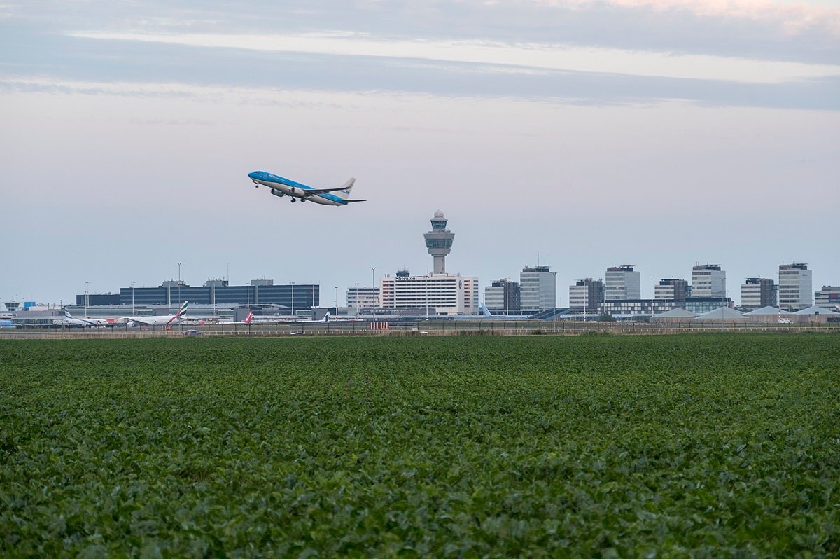 Een veld met een groen gewas op de voorgrond en daarachter Schiphol met een opstijgend vliegtuig