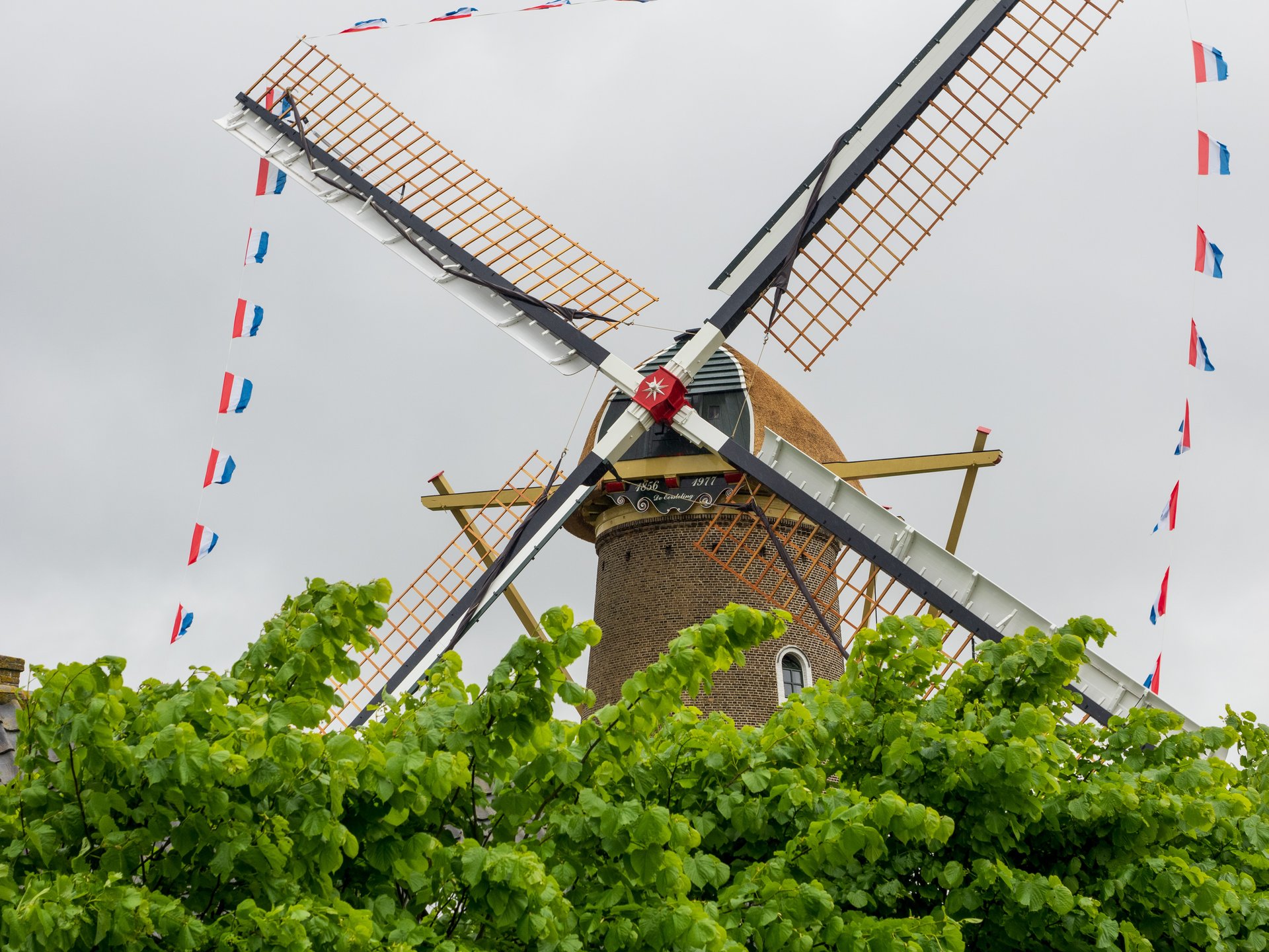 Molen De eersteling