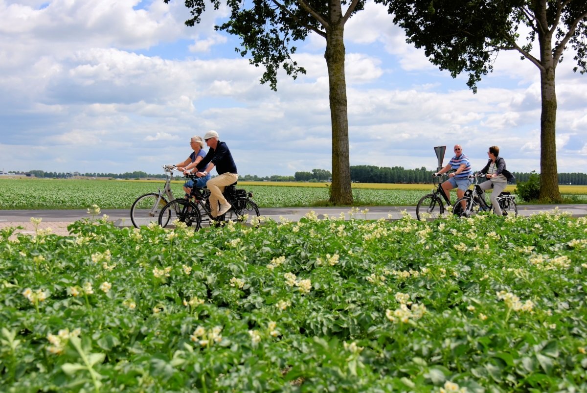 Fietsers in de Haarlemmermeerse polder