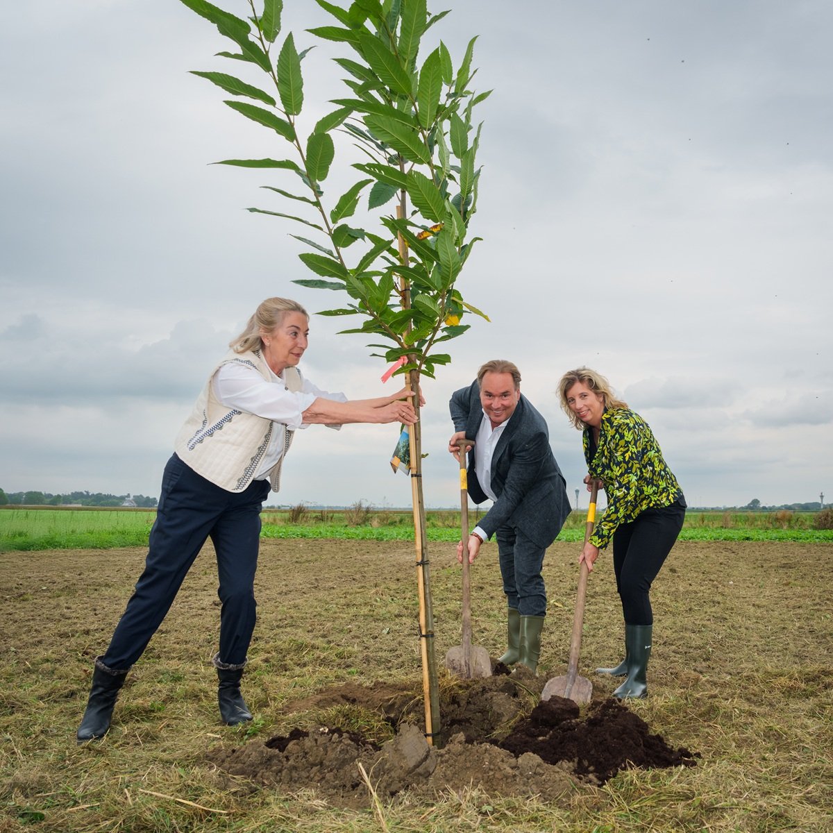 Wethouder Mariette Sedee helpt met het planten van bomen