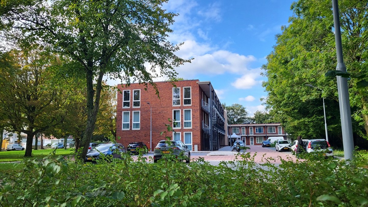 De nieuwe Veldbloem
