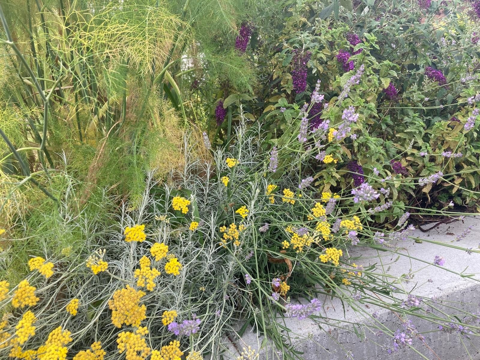Bloemen.