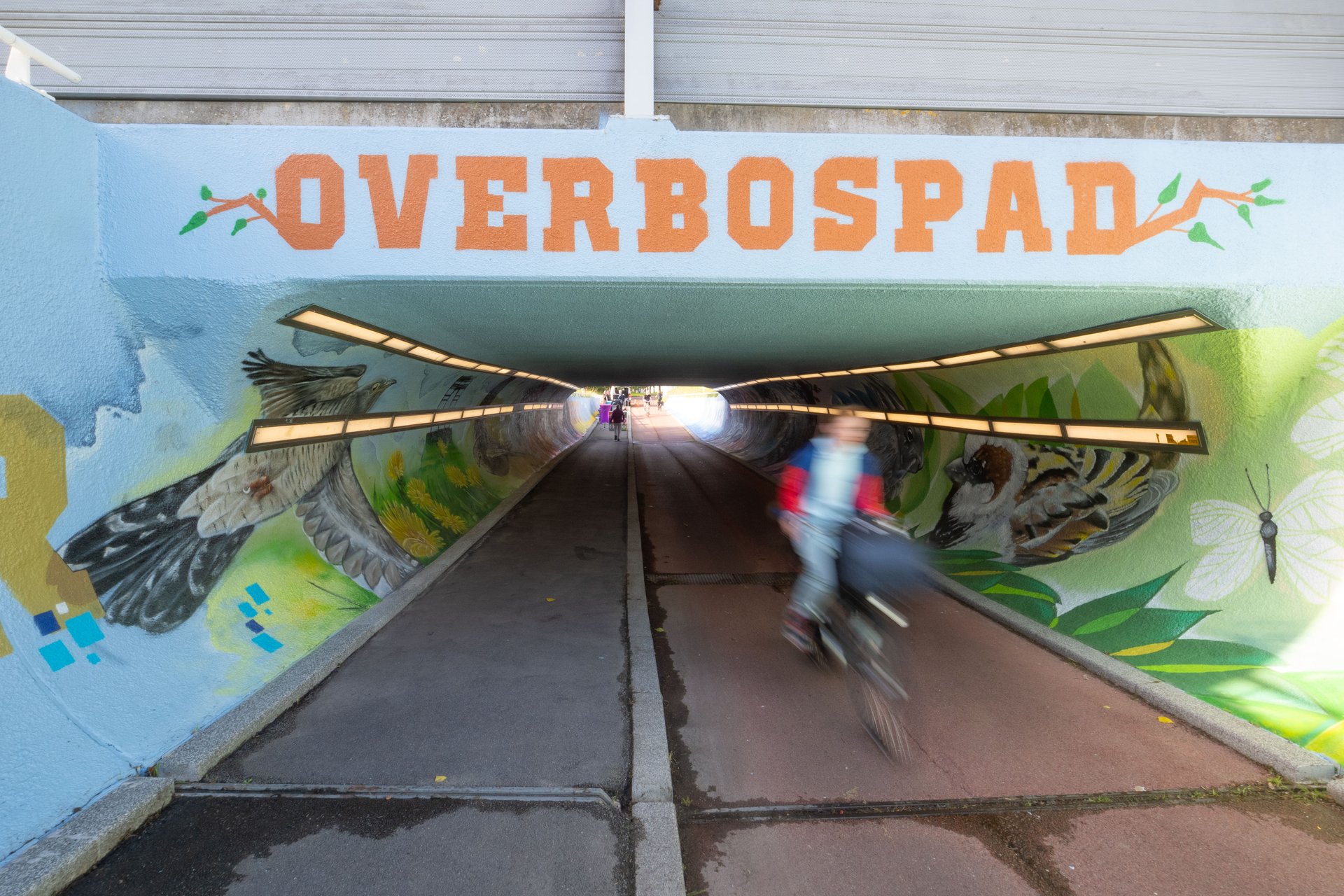 Tunnel Overbospas.