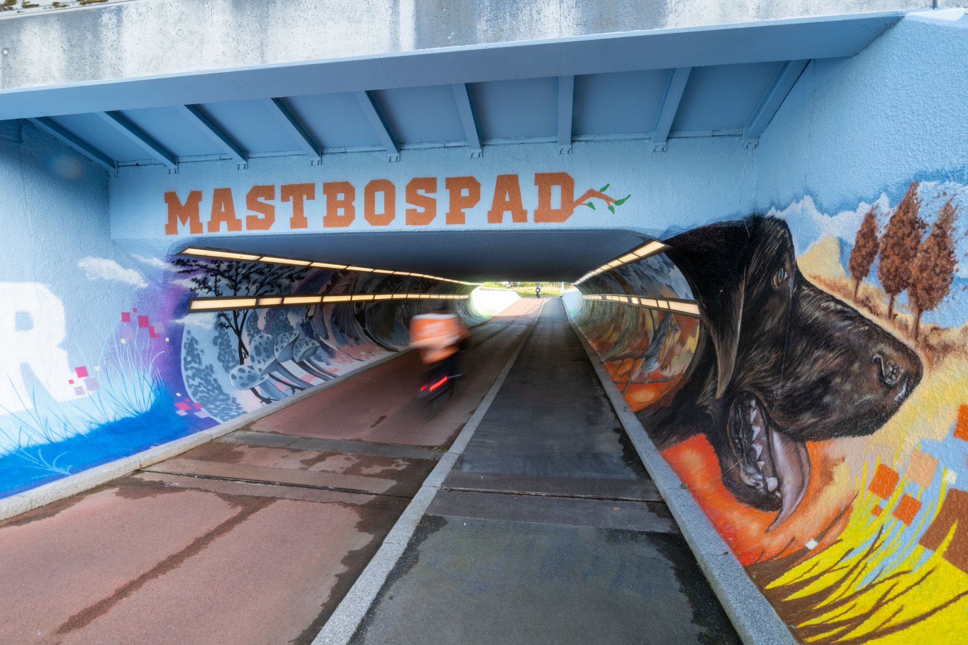 Tunnel Mastbospad.