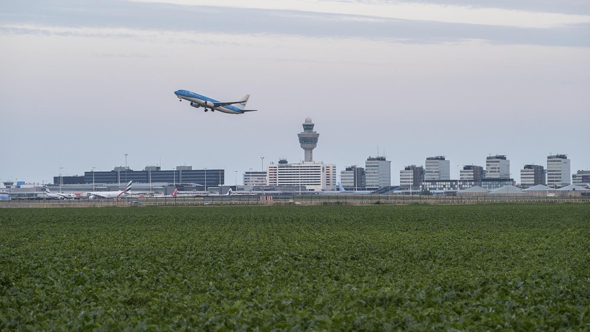 Een veld met een groen gewas op de voorgrond en daarachter Schiphol met een opstijgend vliegtuig