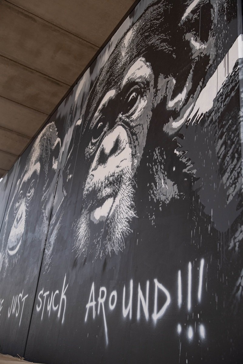 Apenkunst onder de Oude Haagsebrug