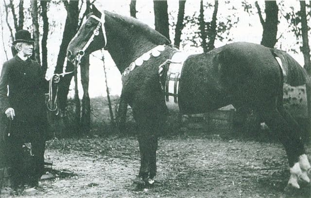 Pullaway, getoond door Hendrik van Wickevoort Crommelin