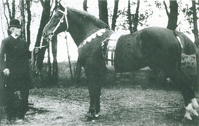 Pullaway, getoond door Hendrik van Wickevoort Crommelin