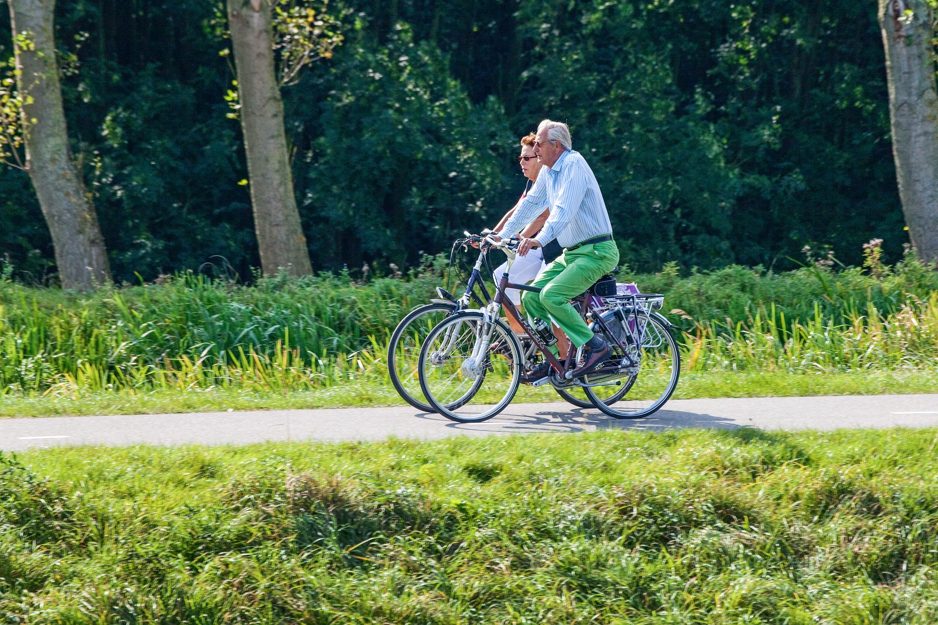 Sinds oktober 2024 werkt Staatsbosbeheer aan een kwaliteitsverbetering van de Venneperhout.