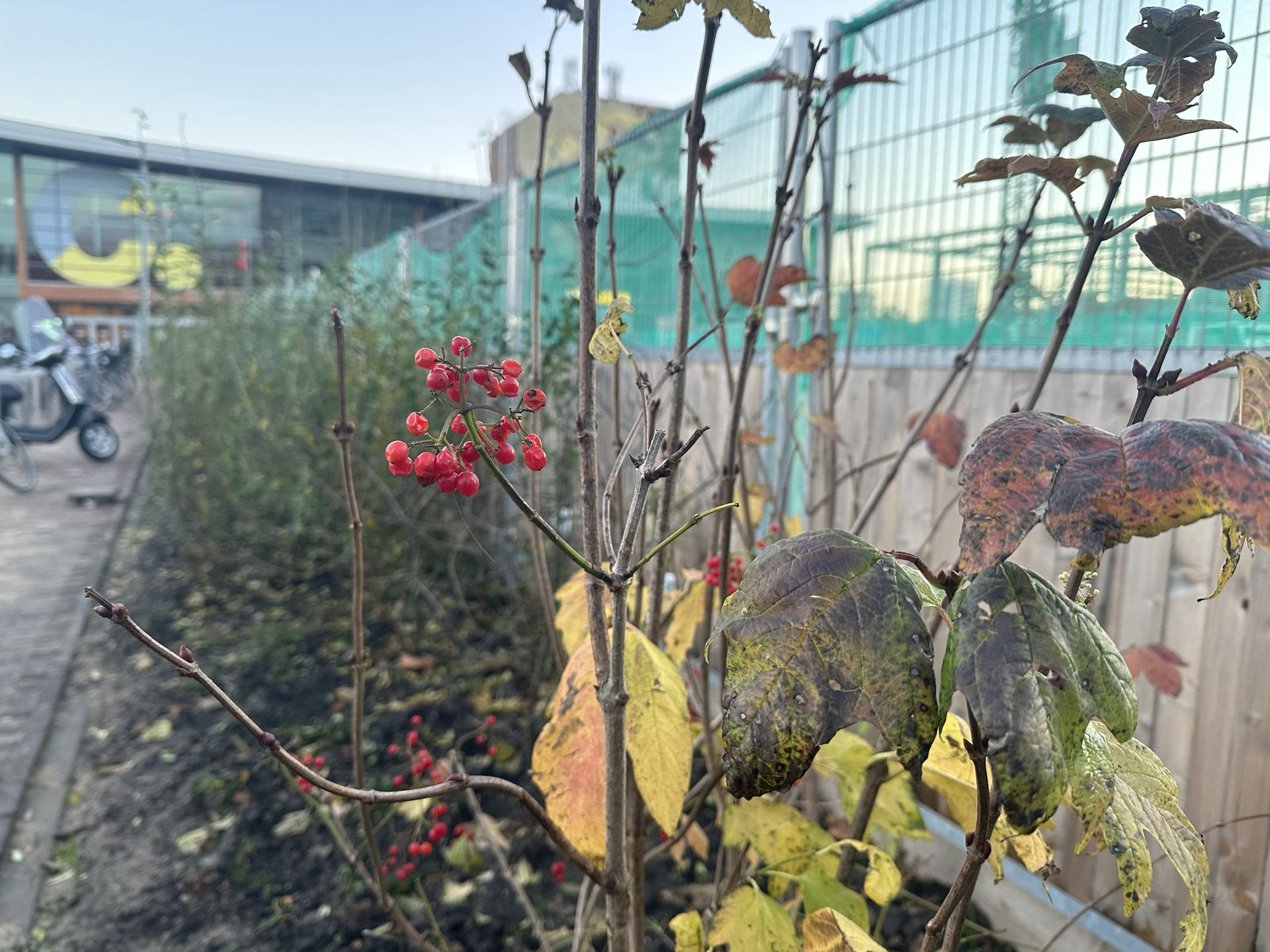 Plantvakken tijdelijke inrichting Raadhuisplein.