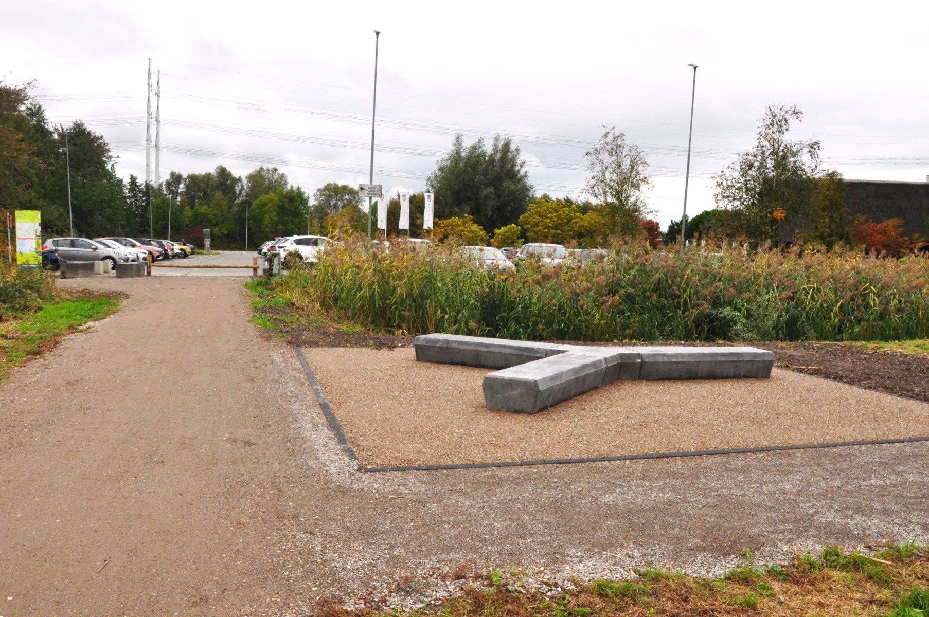 Staatsbosbeheer werkt stap voor stap aan het verbeteren van Venneperhout.